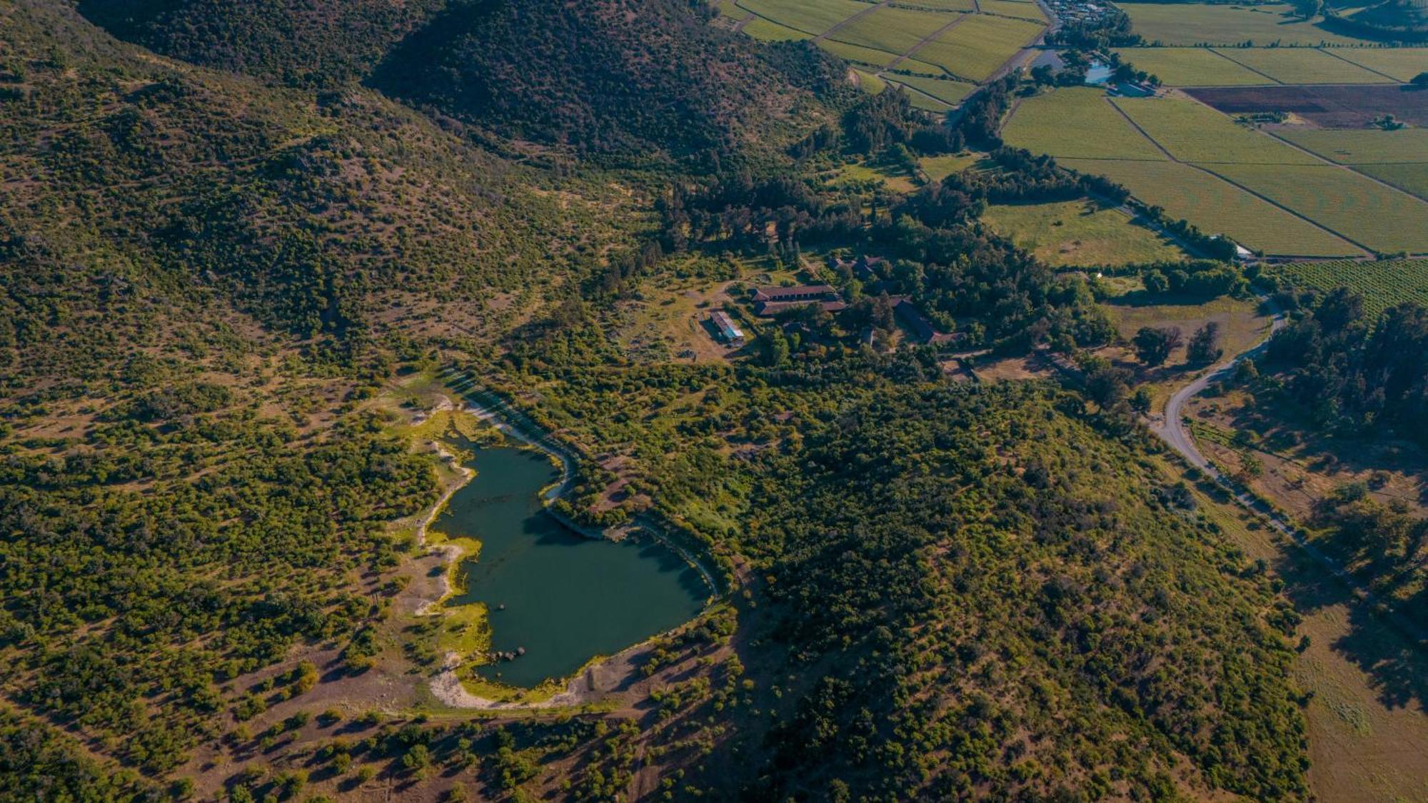Hacienda Los Lingues Chile Valle De Colchagua Eksteriør bilde