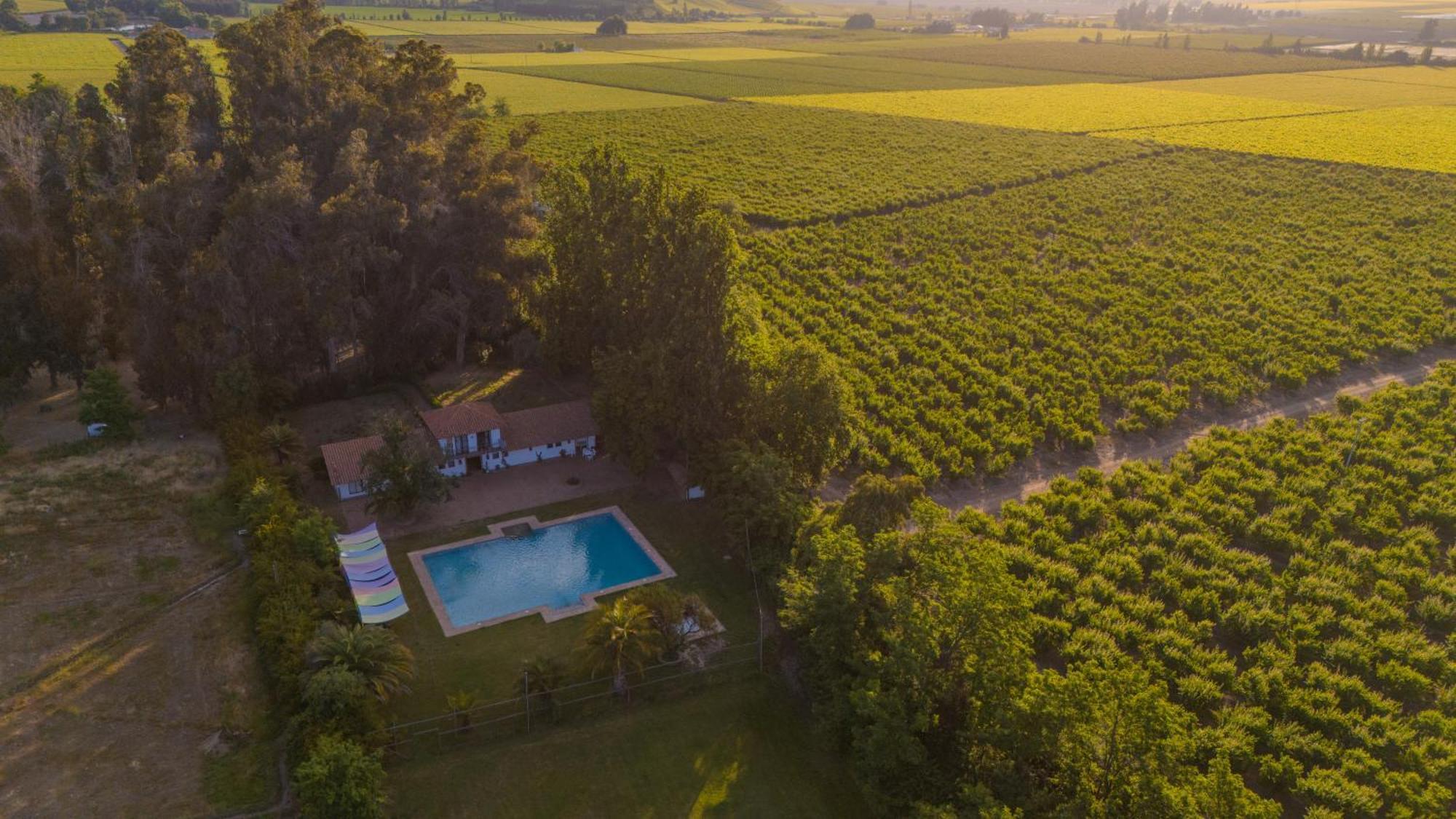 Hacienda Los Lingues Chile Valle De Colchagua Eksteriør bilde