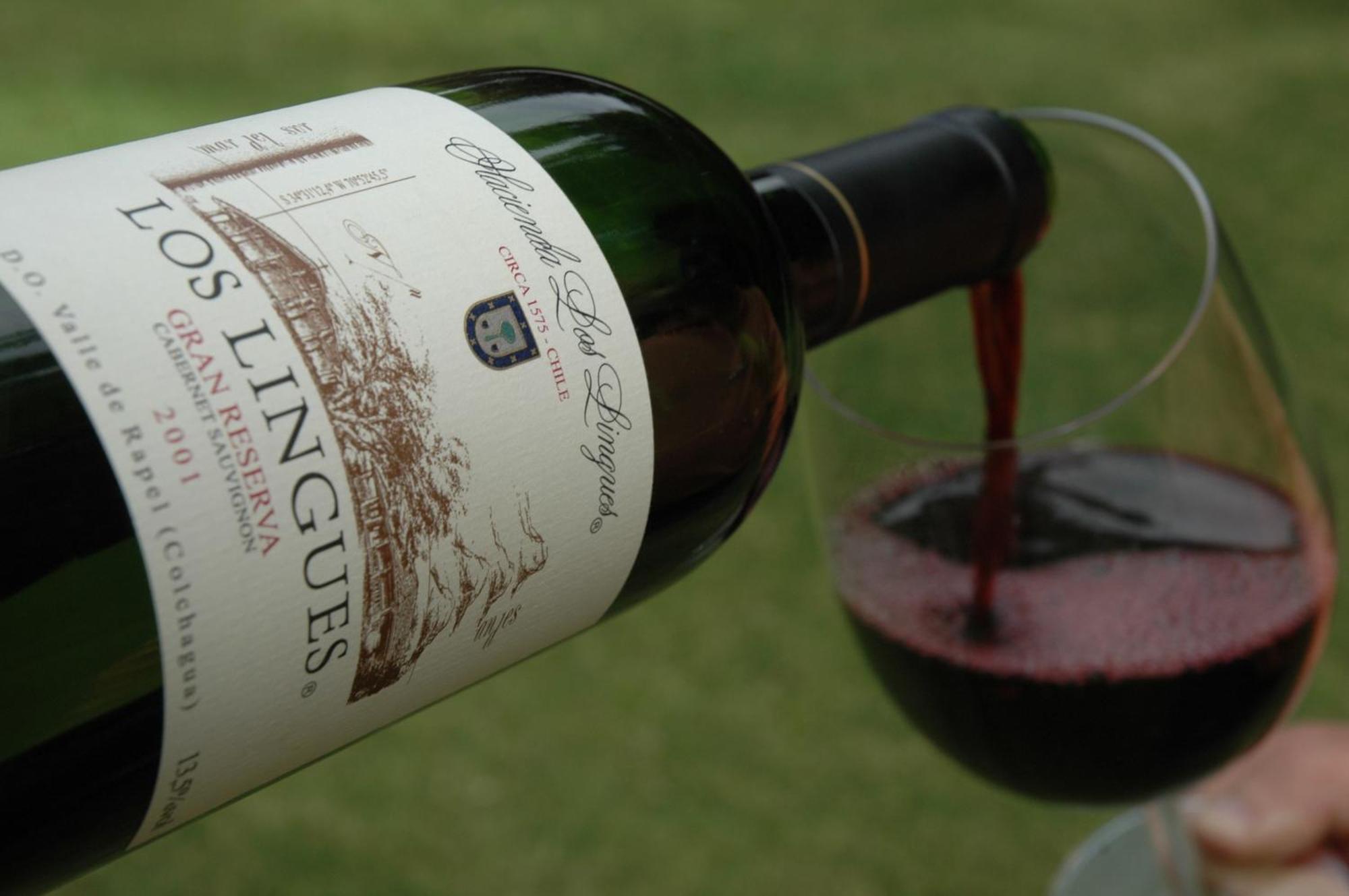 Hacienda Los Lingues Chile Valle De Colchagua Eksteriør bilde