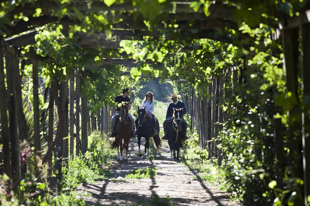 Hacienda Los Lingues Chile Valle De Colchagua Eksteriør bilde