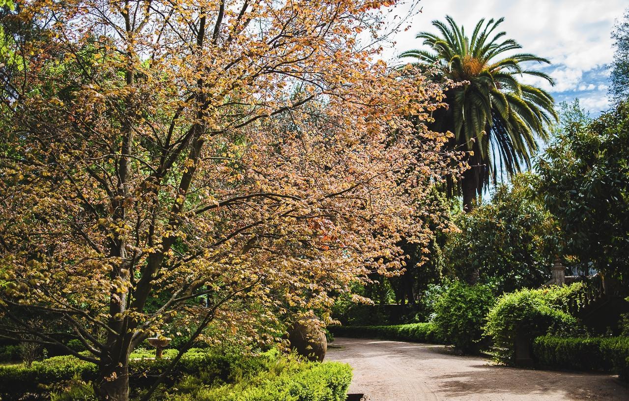 Hacienda Los Lingues Chile Valle De Colchagua Eksteriør bilde