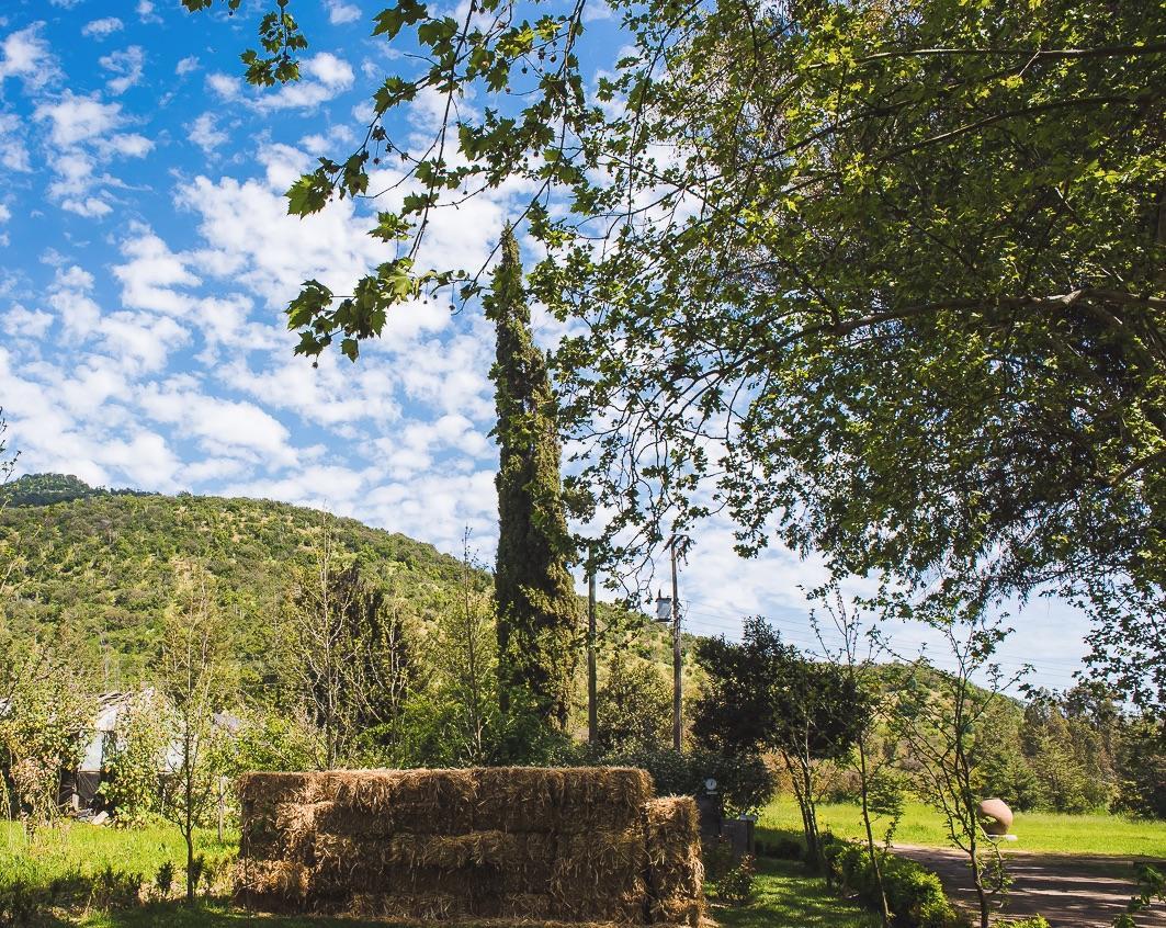 Hacienda Los Lingues Chile Valle De Colchagua Eksteriør bilde